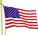 US Flag Graphic